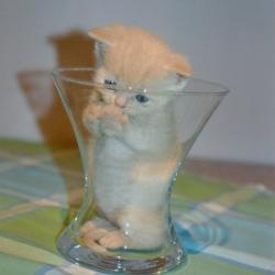 Random Kitten